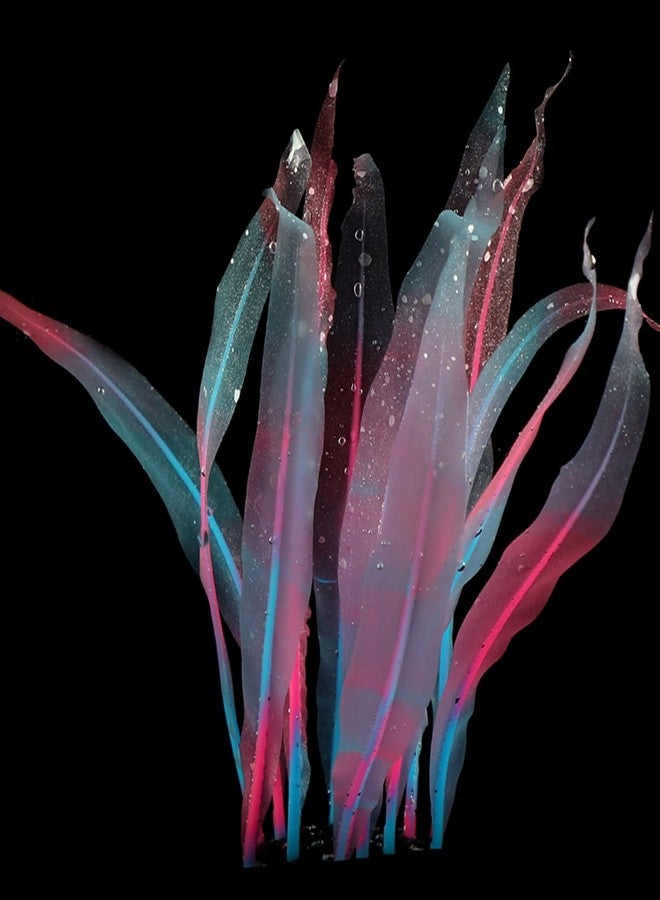 Youngy Aquarium Artificial Kelp Soft Silicone Plant Move With Water Flows 7 Inch High Realistic Seaweed Fish Tanks Decorations Silicone Seaweed Aquarium Plant Kelp Aquarium Plant Decor Realistic Fish Tanks - Image 4